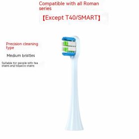 Electric Toothbrush Brush Replacement Head (Option: Stain Removal White)