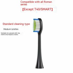 Electric Toothbrush Brush Replacement Head (Option: Clean Type Black)